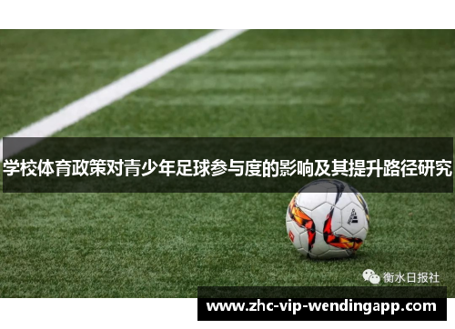 学校体育政策对青少年足球参与度的影响及其提升路径研究