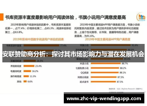 安联赞助商分析：探讨其市场影响力与潜在发展机会