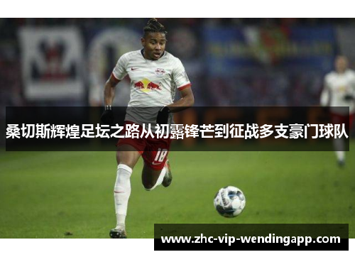 桑切斯辉煌足坛之路从初露锋芒到征战多支豪门球队