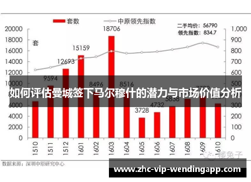 如何评估曼城签下马尔穆什的潜力与市场价值分析 如何评估曼城签下马尔穆什的潜力与市场价值分析