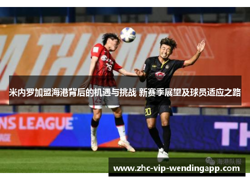 米内罗加盟海港背后的机遇与挑战 新赛季展望及球员适应之路